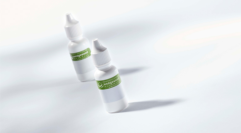 Chloramphenicol: Ophthalmic Solution